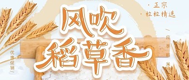 清新风吹稻香大米公众号封面