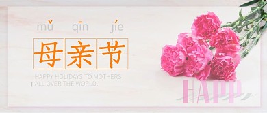母亲节快乐温馨康乃馨微信公众号封面头图