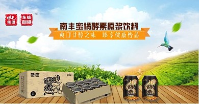 南丰蜜桔酵素原浆饮料