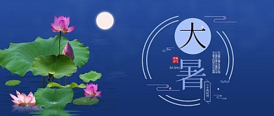 夜色荷花大暑公众号封面