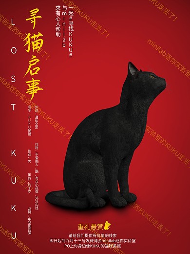 寻猫启事宣传海报