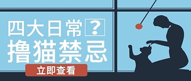 蓝色简约日常撸猫问题公众号封面图