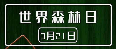 公众号封面307世界森林日环保主页