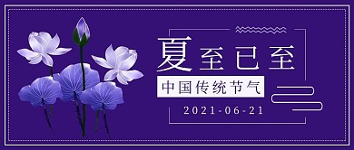 简约节气夏至已至