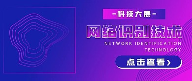 商务简约网络识别技术