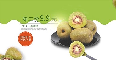 猕猴桃VC之王水果促销海报