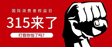315 消费日 打假 海报 长图