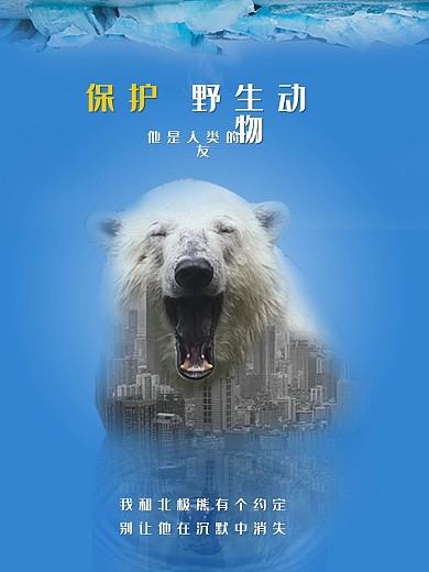 保护野生动物宣传海报