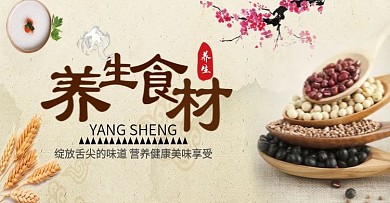 养生食材海报电商banner