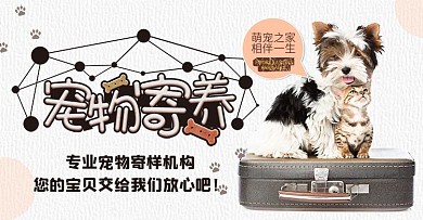 宠物寄养可爱宠物banner