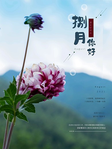 8月你好捌月海报唯美7月再见