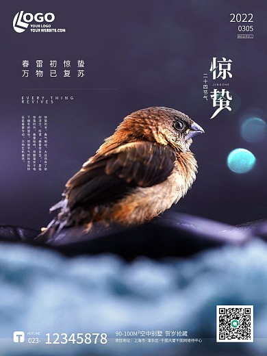 简约摄影风节气惊蛰春天小鸟麻雀海报