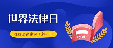 蓝色扁平世界法律日