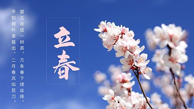立春春分传统节日二十四节气海报春天春季