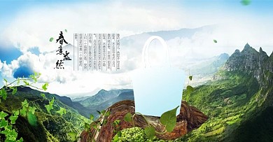 包包淘宝天猫电商海报