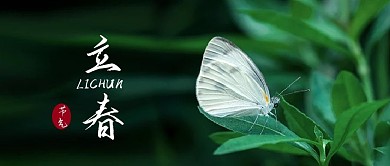 立春公众号封面6