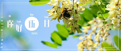 五月你好槐花香公众号封面