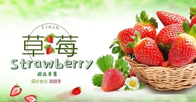 草莓美食水果海报banner