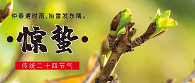 惊蛰二十四节气微信公众号配图次图封面