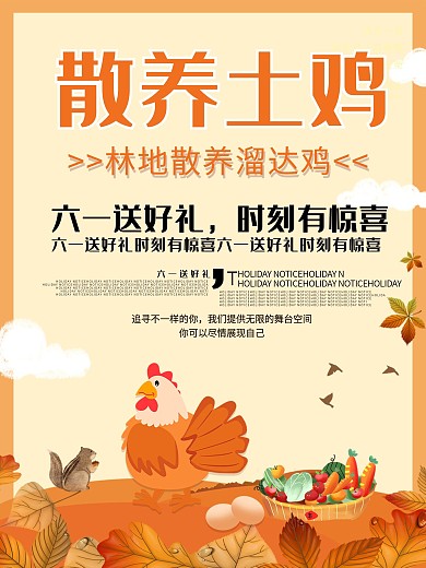 散养土鸡小笨鸡销售海报