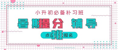 极简暑期提分辅导班