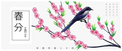 春天春分二十四节气微信公众号订阅号文章