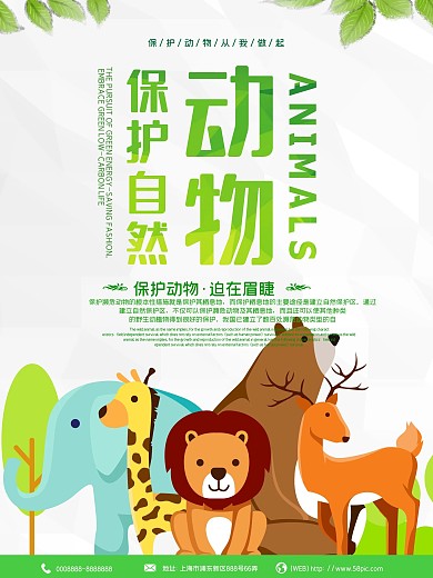 小清新保护动物海报