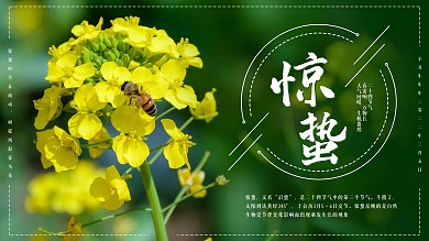 惊蛰节气展板海报