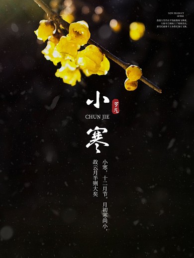 小寒 小寒海报 腊梅 下雪 冬天海报