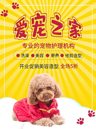 宠物开业促销海报