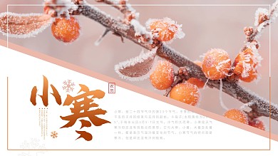 小寒大寒二十四节气简约展板