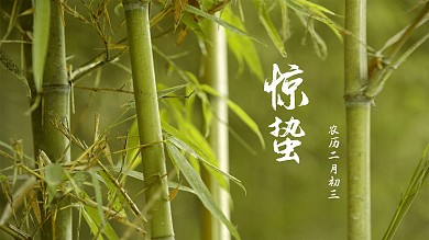 竹林惊蛰平面横版海报