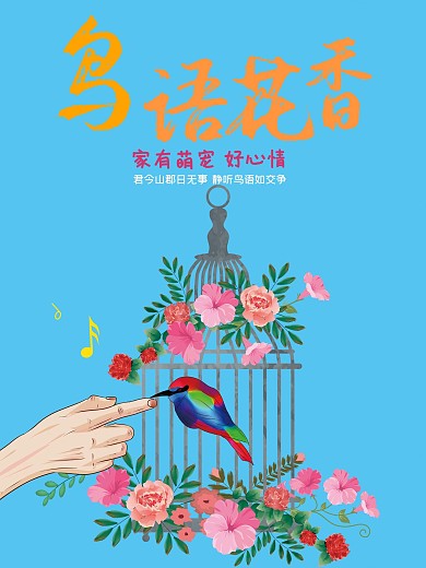 宠物小鸟鹦鹉海报