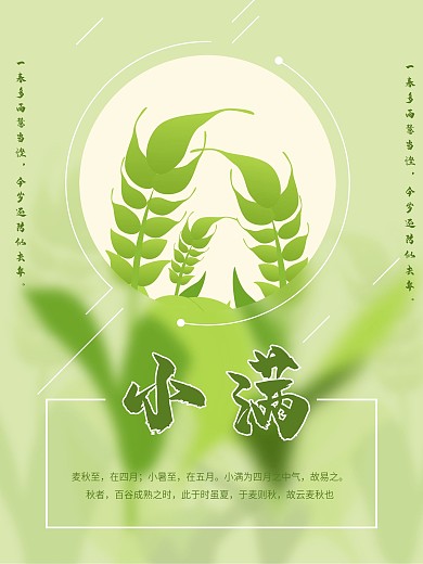 小满二十四节气海报设计