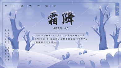 蓝白色原创插画冬天霜降插画展板