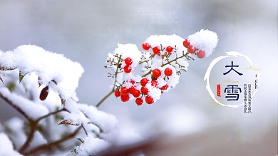 二十四节气大雪展板