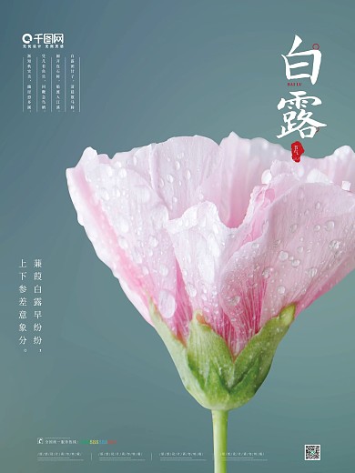 二十四节气白露海报设计