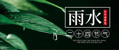 雨水二十四节气微信公众号配图次图封面