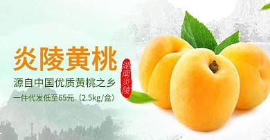 炎陵黄桃淘宝海报banner