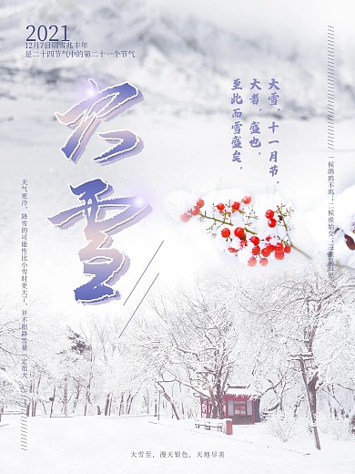 大雪传统二十四节气海报白色