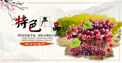 葡萄水果海报banner