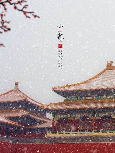 宫墙雪后二十四节气小寒工艺宣传海报