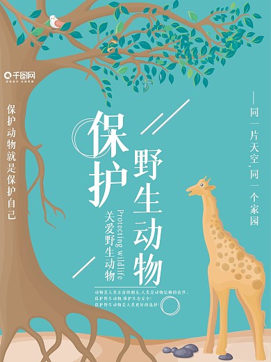 摄影图保护野生动物公益海报