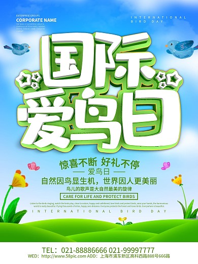 蓝色小清新国际爱鸟日海报设计