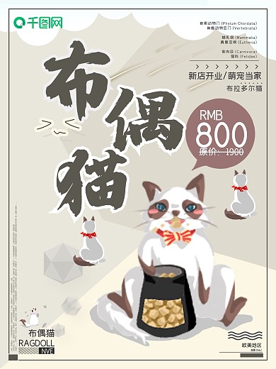 宠物当家布偶猫折扣海报设计