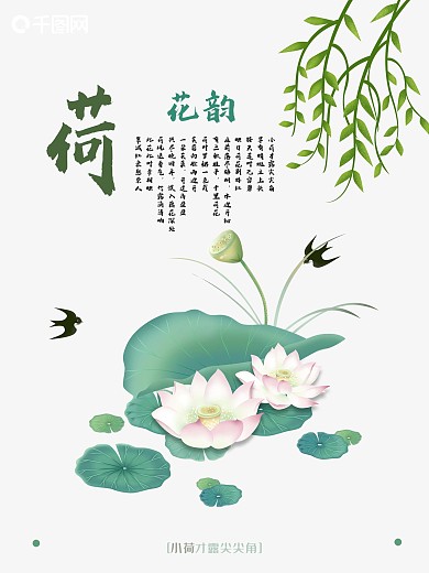 清新淡雅—荷花花苞
