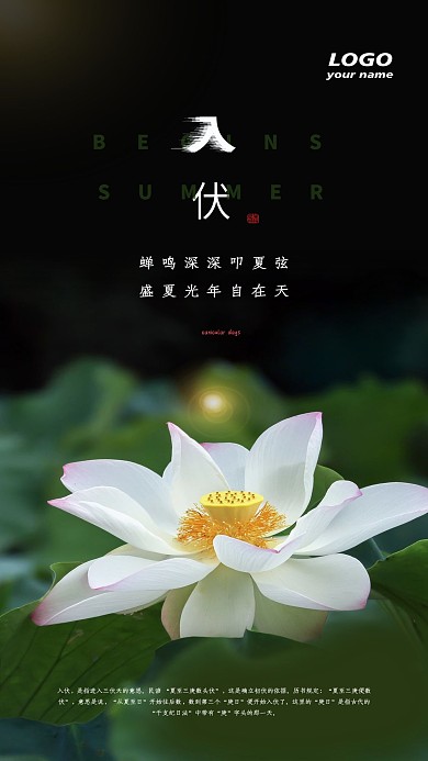 入伏摄影图手机海报
