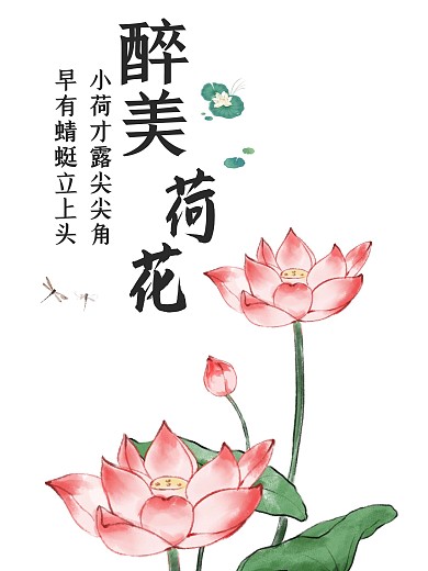 荷花