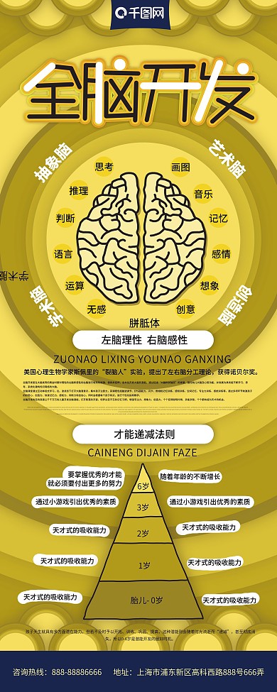 全脑开发