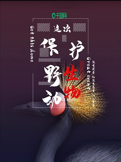 拒绝猎杀保护野生动物公益海报设计